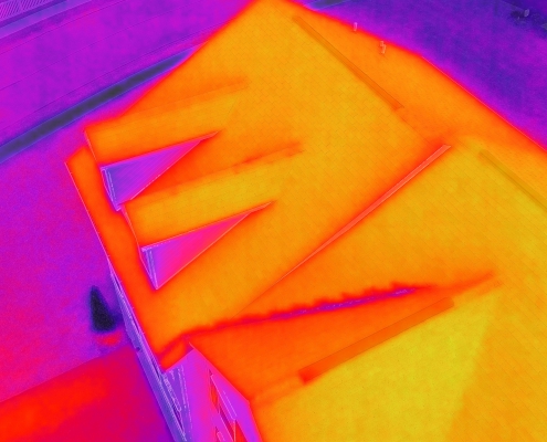 Infrared Thermal Image